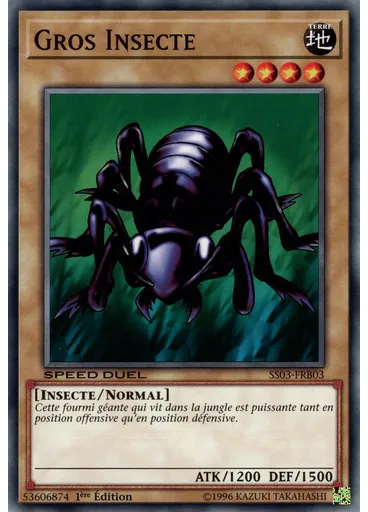 Gros Insecte