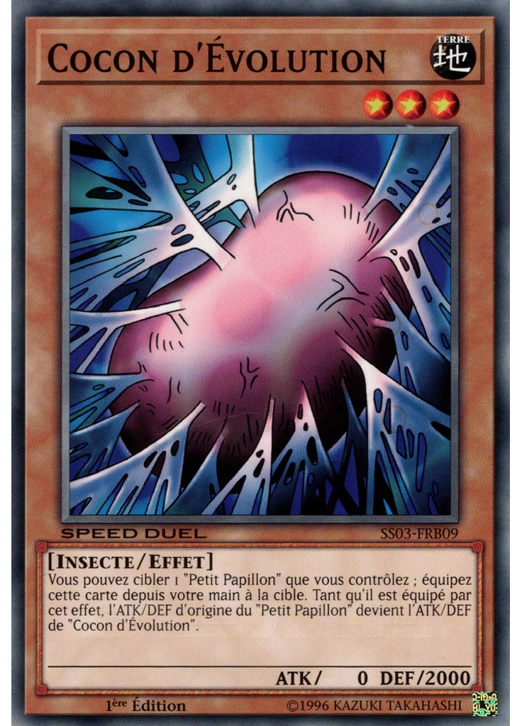 Cocon d'Évolution