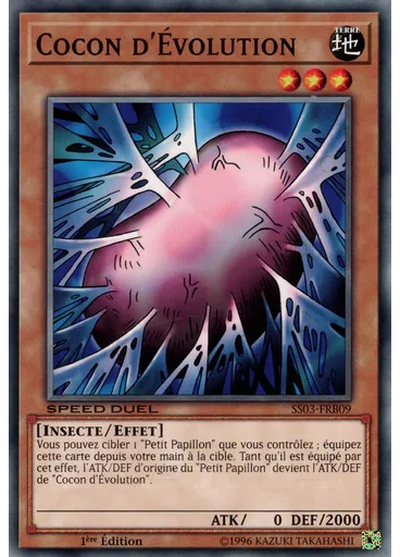 Cocon d'Évolution
