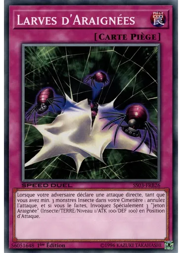 Larves d'Araignées