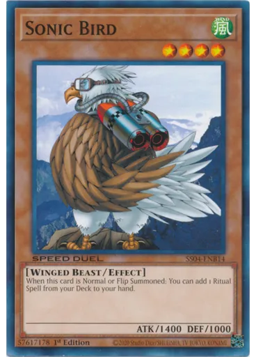 Sonic Bird