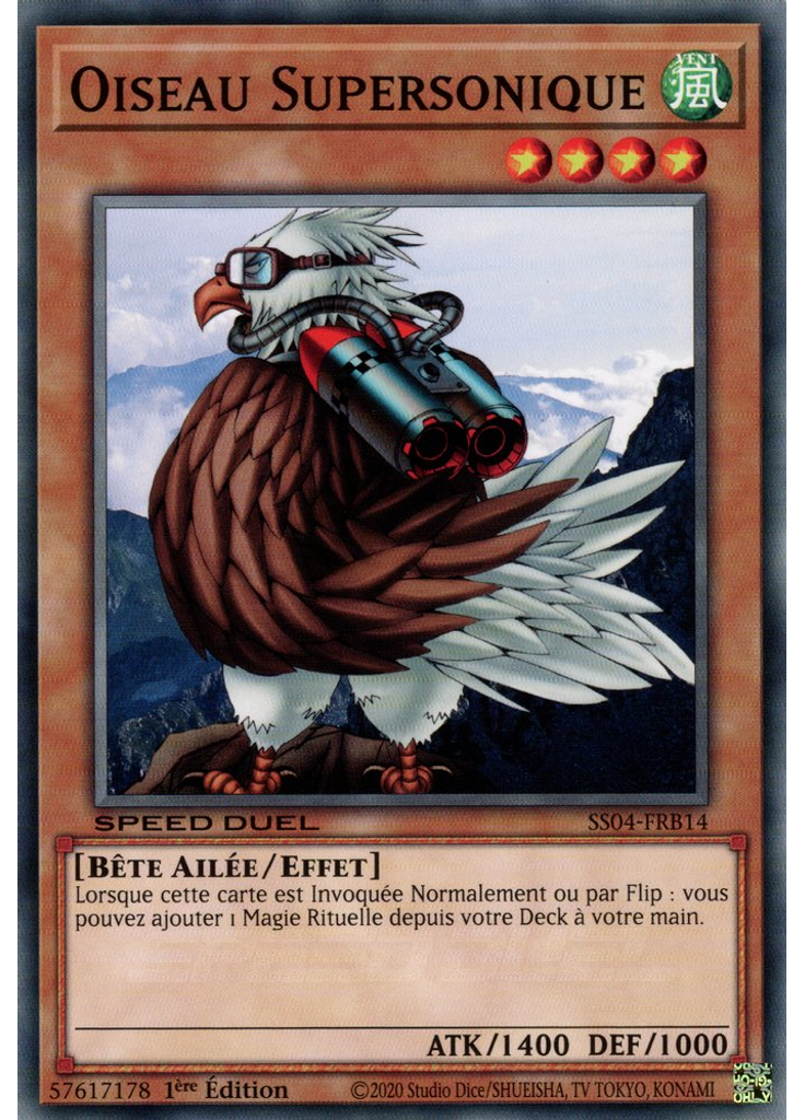 Oiseau Supersonique