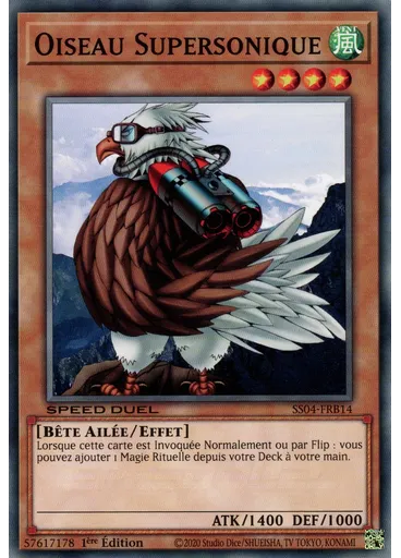 Oiseau Supersonique