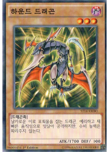 하운드 드래곤