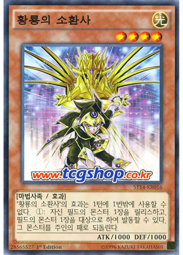 황룡의 소환사
