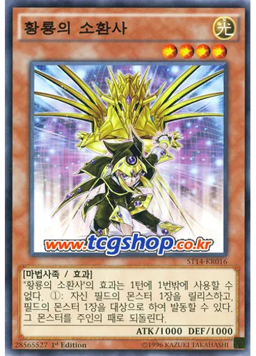 황룡의 소환사