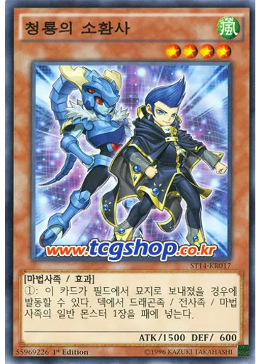 청룡의 소환사