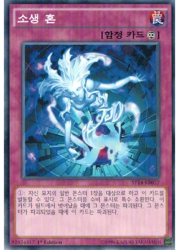 소생 혼