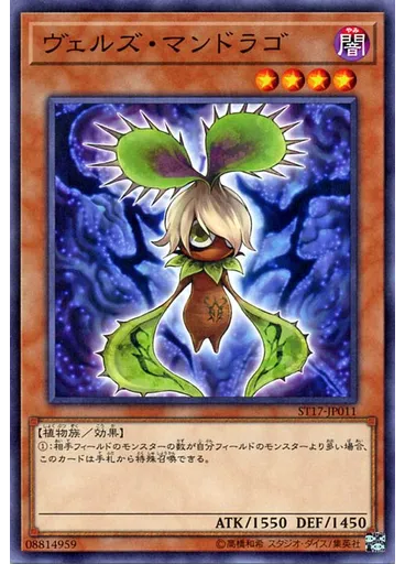 ヴェルズ・マンドラゴ