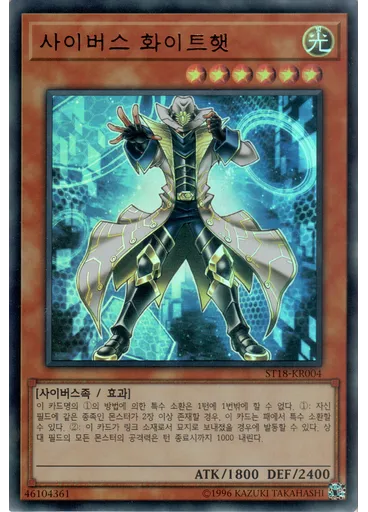 사이버스 화이트햇