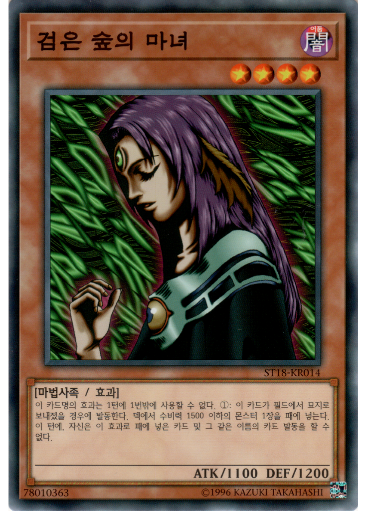 검은 숲의 마녀