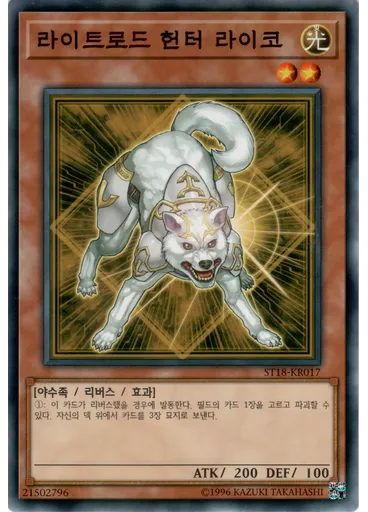 라이트로드 헌터 라이코