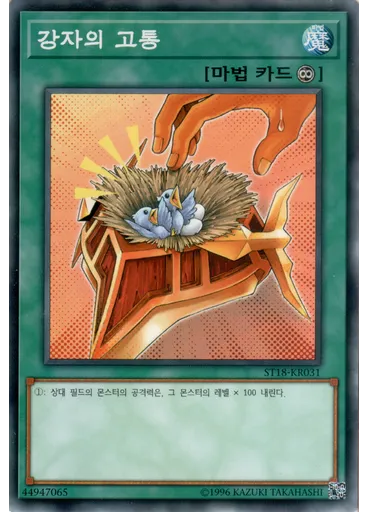 강자의 고통