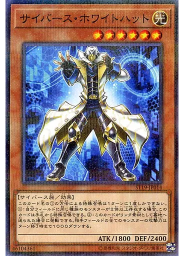 サイバース・ホワイトハット