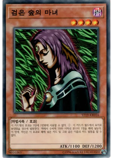 검은 숲의 마녀