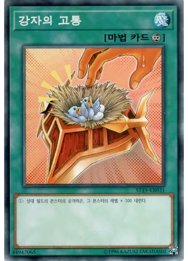 강자의 고통
