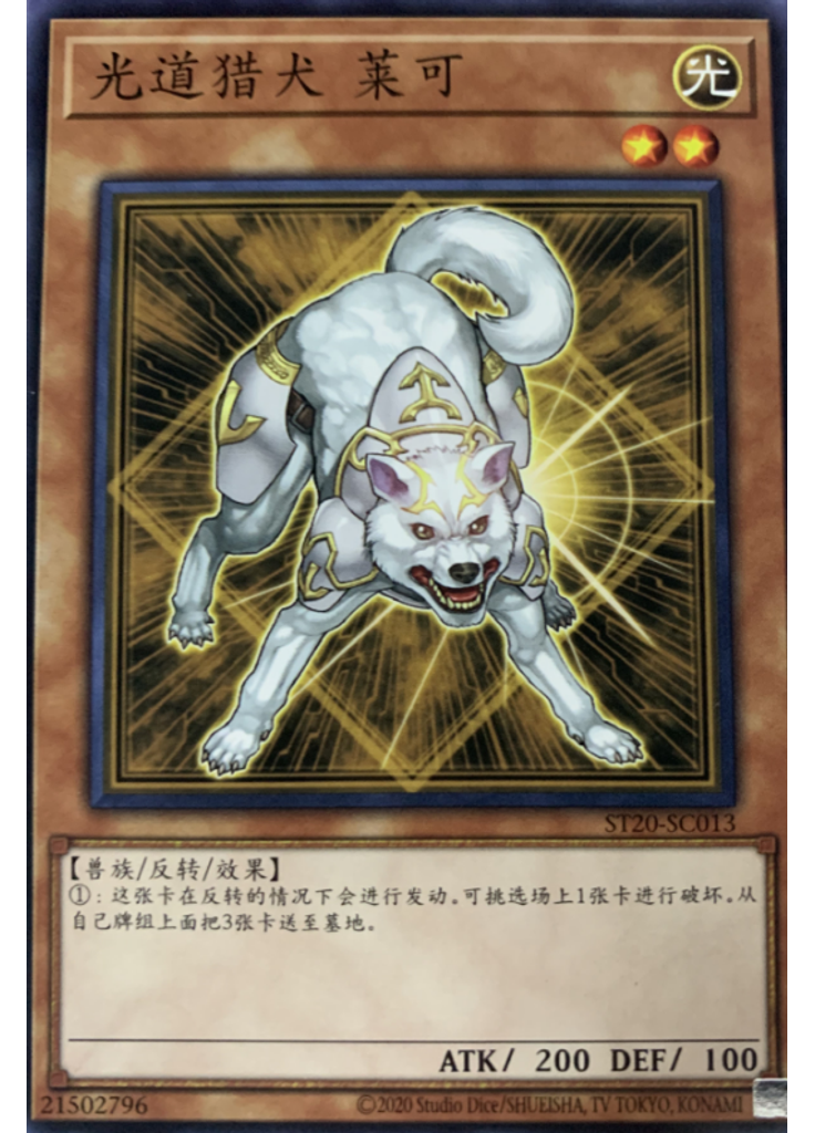 光道猎犬 莱可