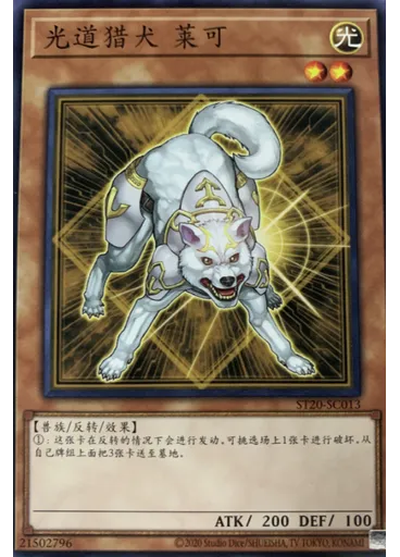光道猎犬 莱可