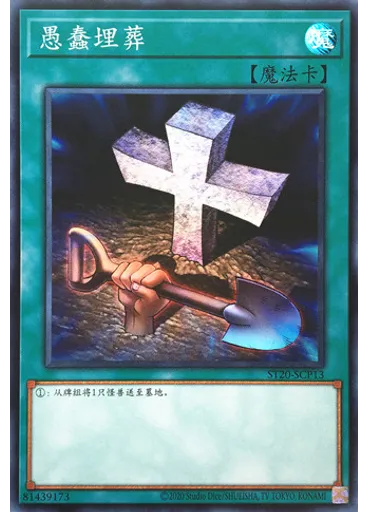 愚蠢埋葬