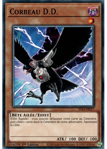 Corbeau D.D.