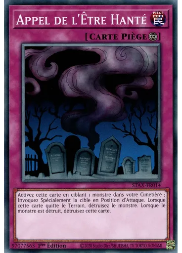 Appel de l'Être Hanté