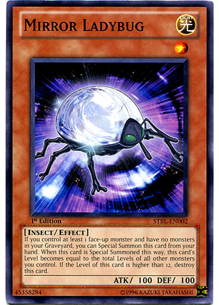 Mirror Ladybug