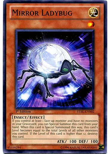 Mirror Ladybug