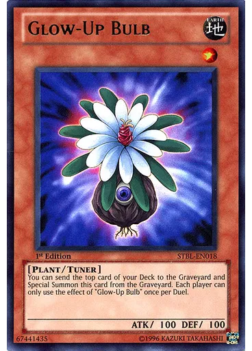 Glow-Up Bulb