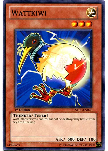 Wattkiwi