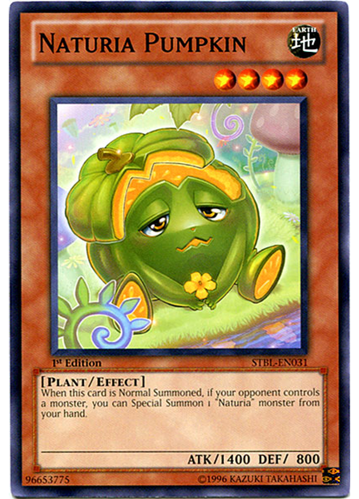 Naturia Pumpkin