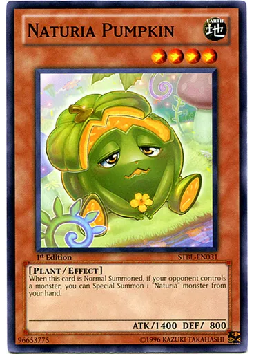 Naturia Pumpkin