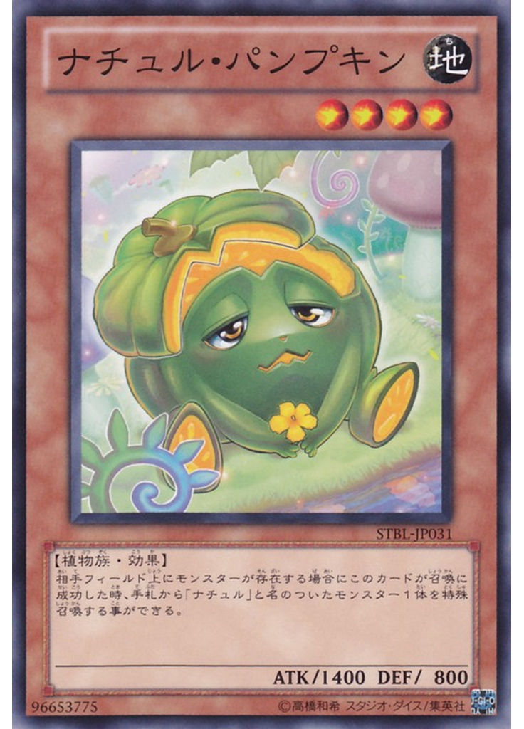 ナチュル・パンプキン