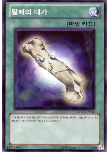 말뼈의 대가