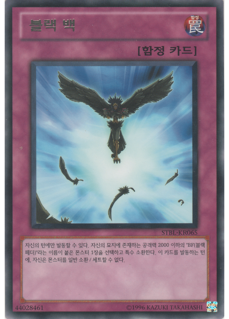 블랙 백 (Rare Unlimited)