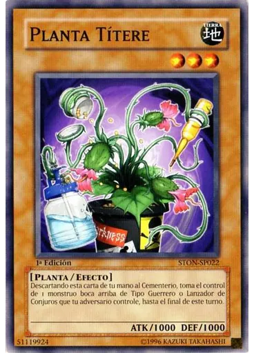 Planta Títere
