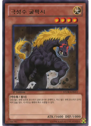 극성수 굴팍시