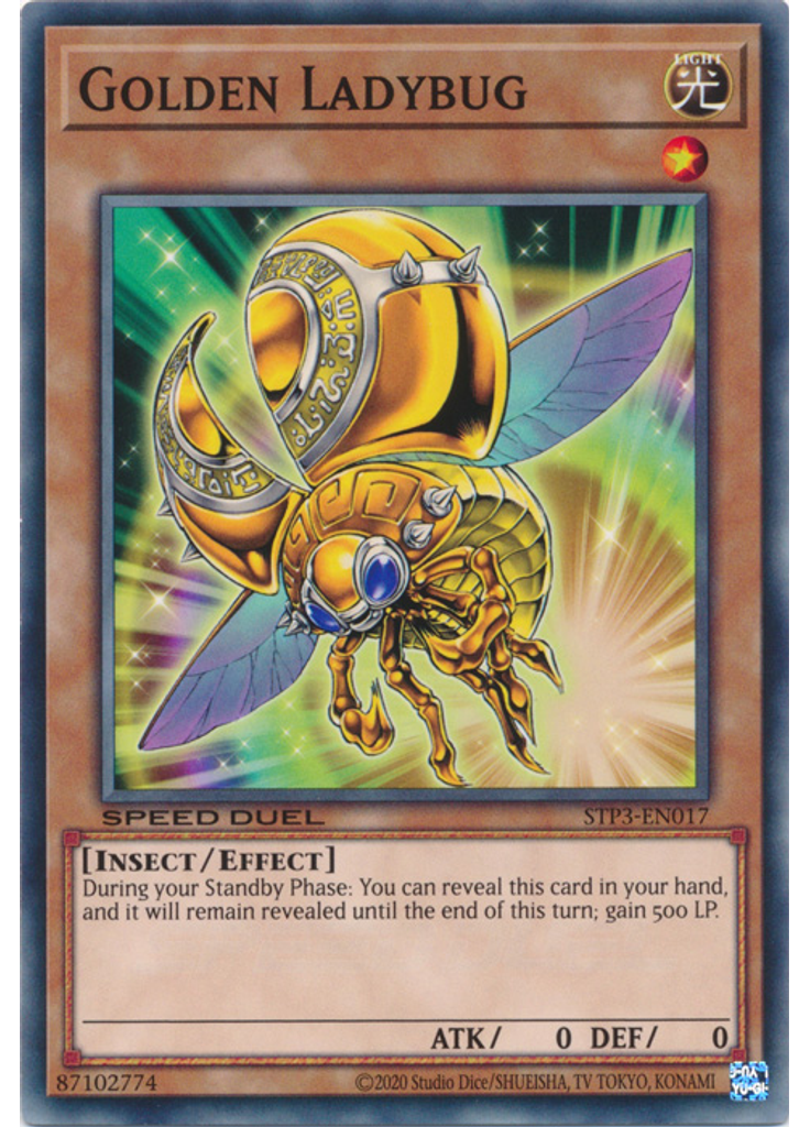 Golden Ladybug