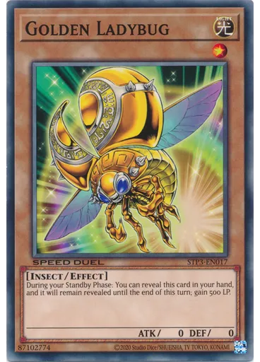 Golden Ladybug