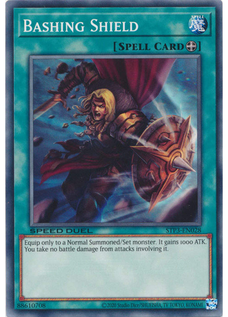 Bashing Shield