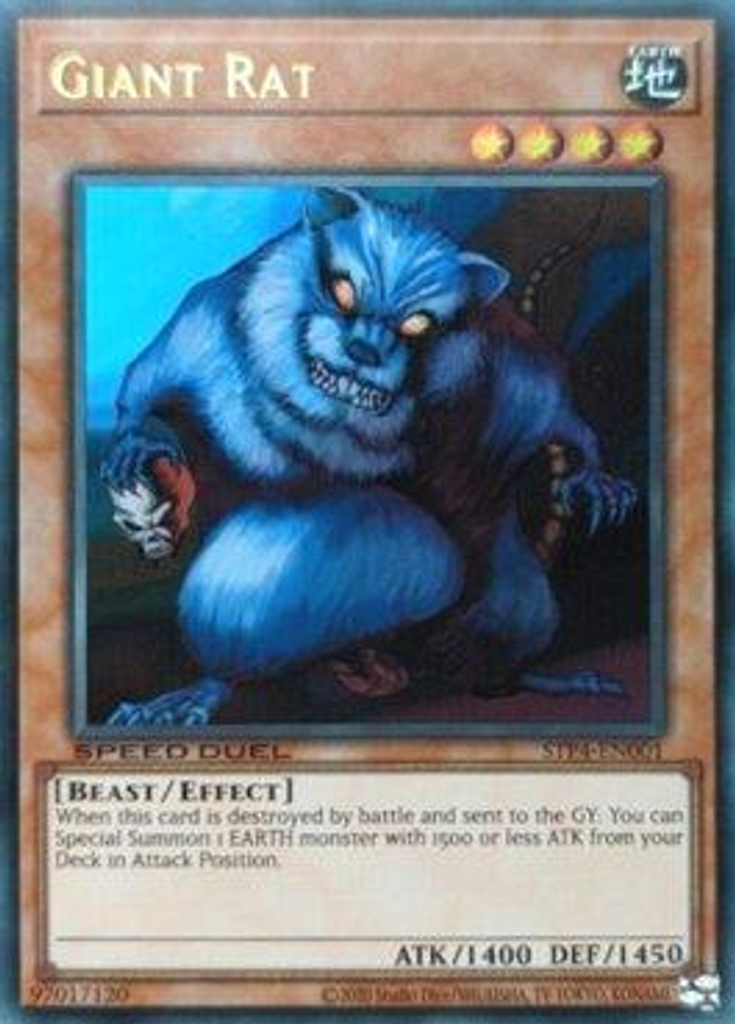 Giant Rat