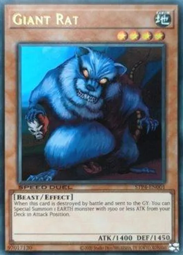 Giant Rat