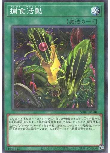 捕食活動