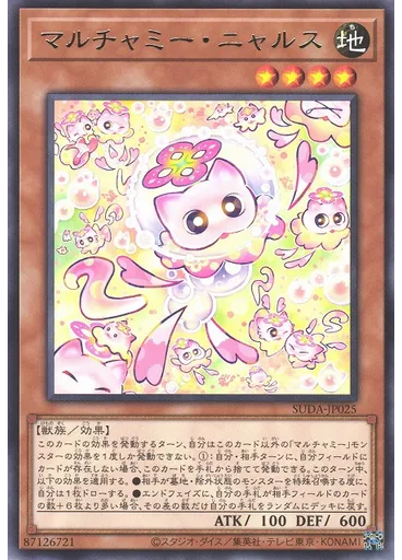 マルチャミー・ニャルス
