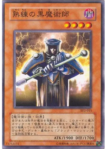 熟練の黒魔術師