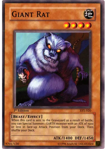 Giant Rat