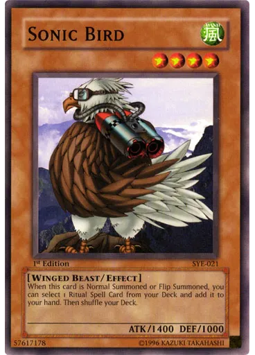 Sonic Bird