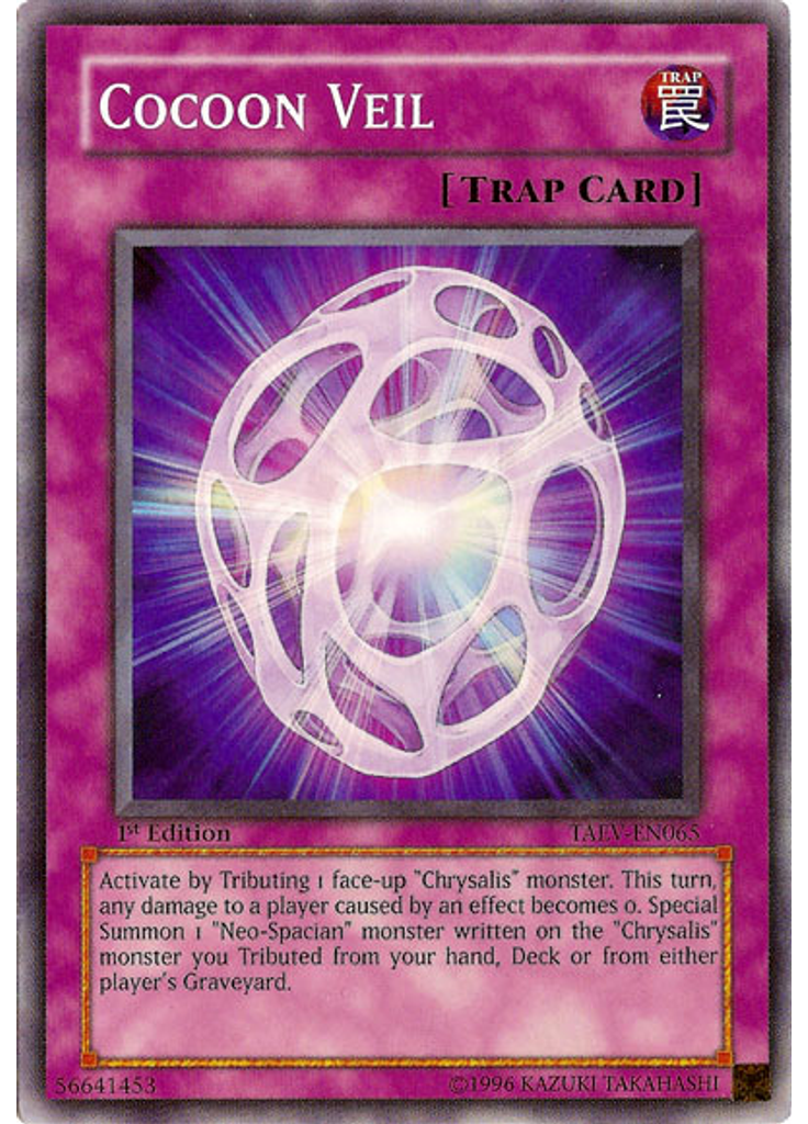 Cocoon Veil