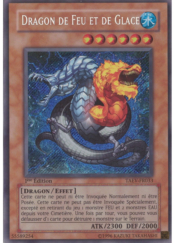 Dragon de Feu et de Glace