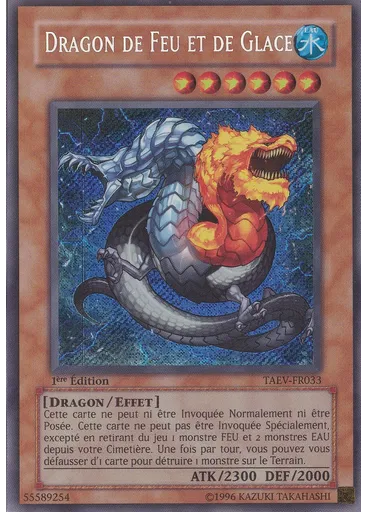 Dragon de Feu et de Glace