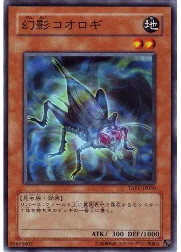 幻影コオロギ